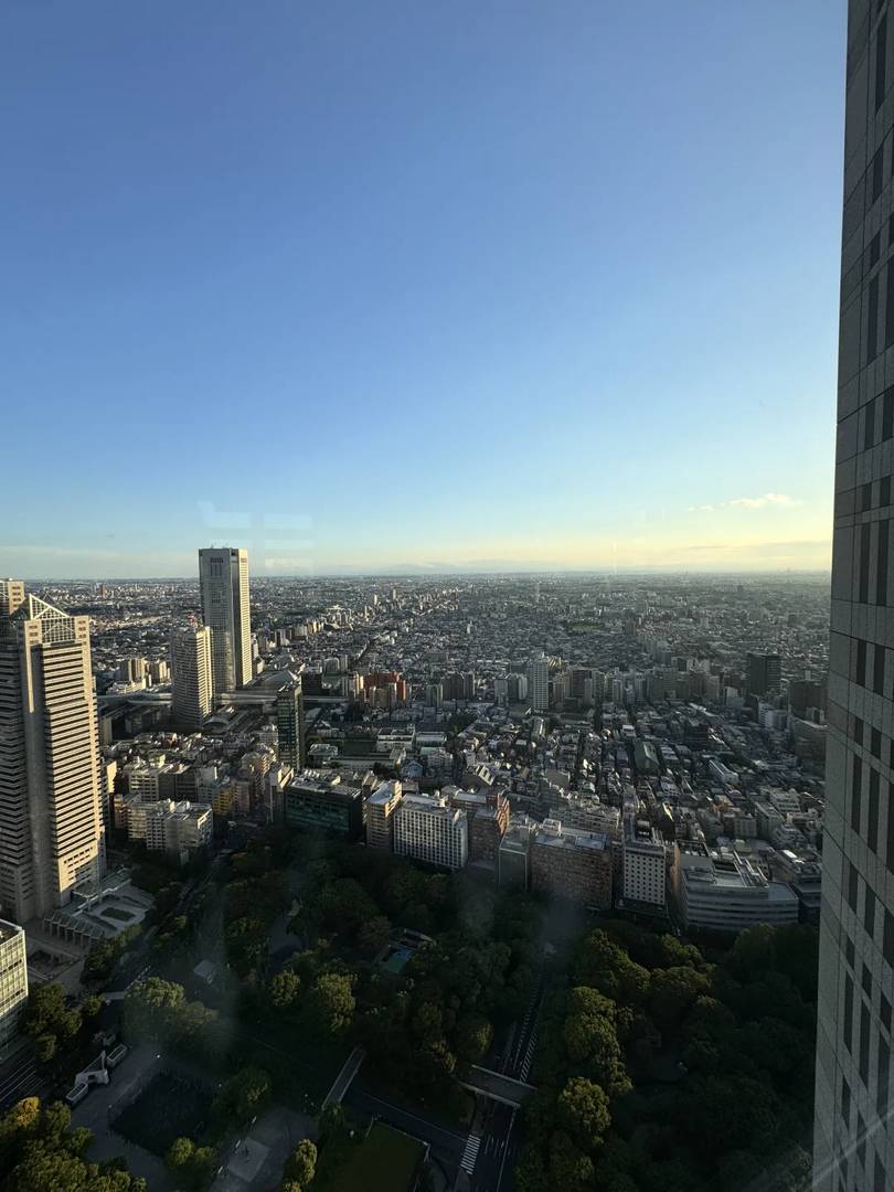 Best Free Tokyo Night Views: Top Spots Beating Skytree for Million-Dollar Scenery