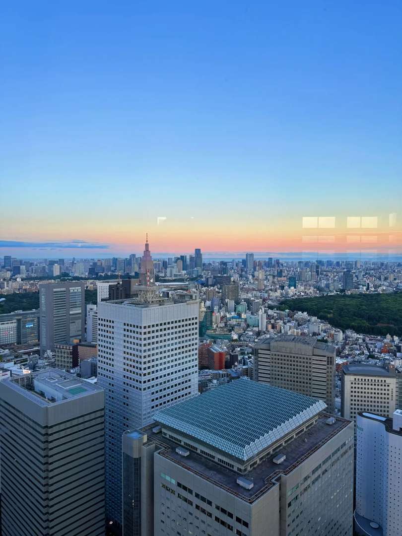 Best Free Tokyo Night Views: Top Spots Beating Skytree for Million-Dollar Scenery
