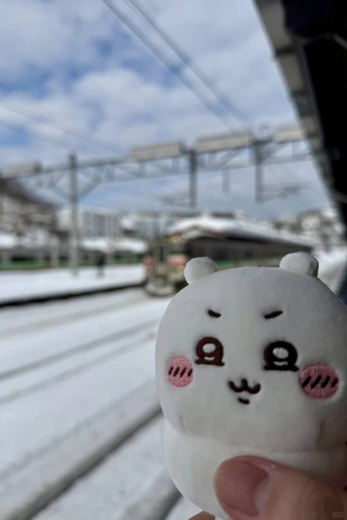Best Hokkaido Winter Trip Guide 2025: Top Attractions & Travel Tips for February