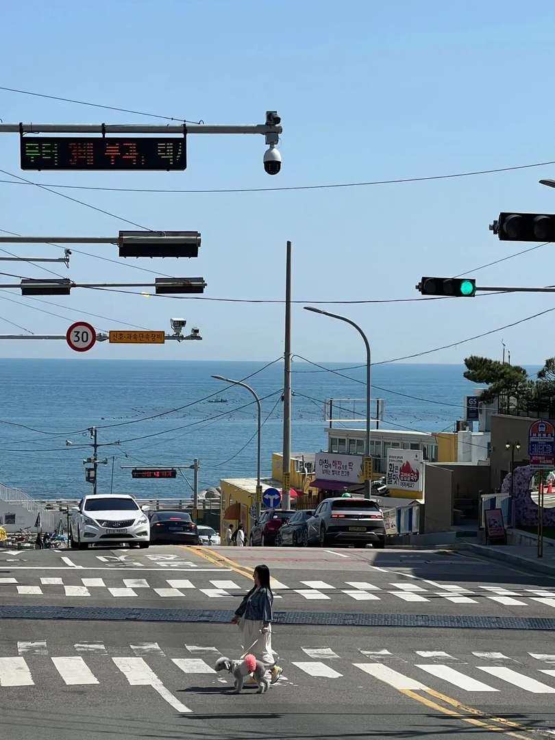 Best Things to Do in Busan: Top Attractions, Food & Travel Tips for South Korea
