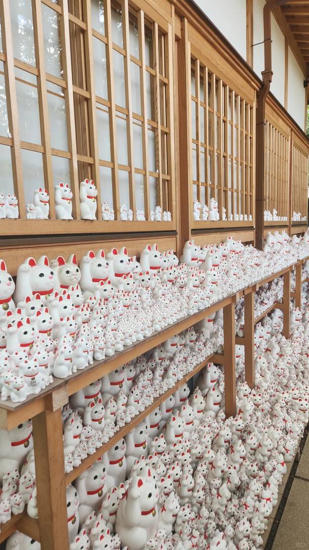 Best Things to Do in Tokyo for a Perfect Weekend Getaway | Travel Guide