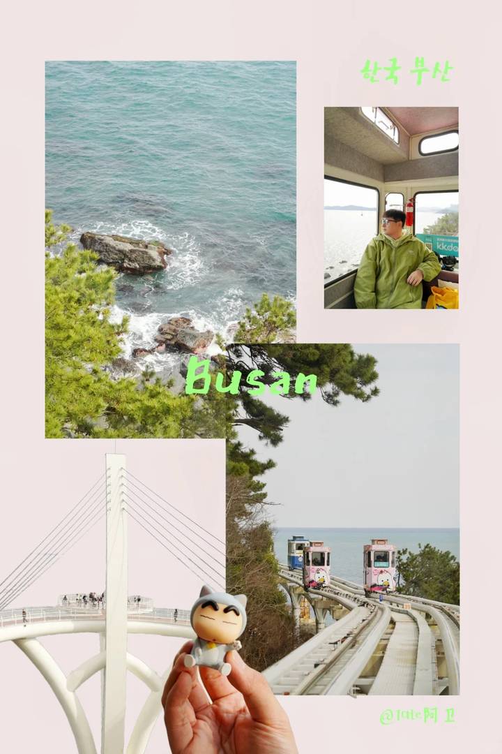 Best Time to Visit Busan for Cherry Blossoms: 2025 Blooming Season Guide