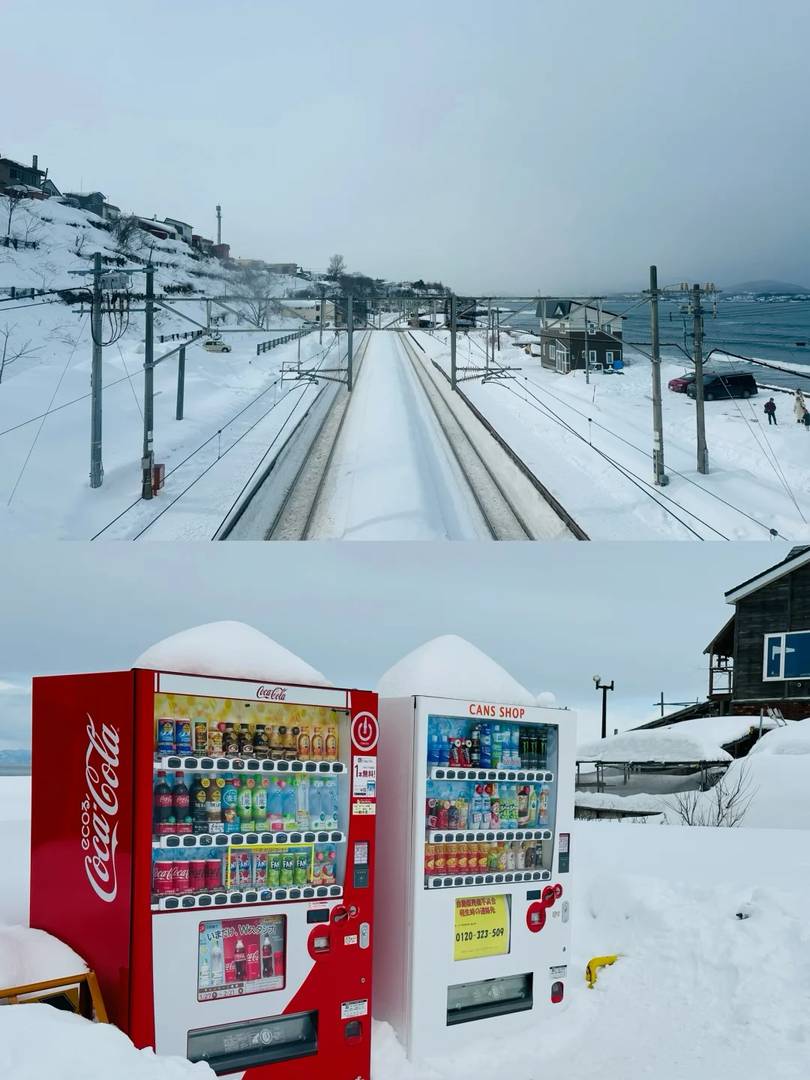 Best Winter Getaway in Hokkaido: Otaru Travel Guide with Penguins & Snow