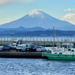 Breathtaking Live Photos from Japan: My Unforgettable Travel Experience 🇯🇵