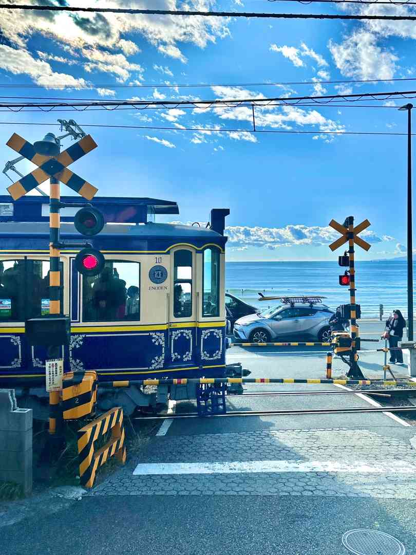 Breathtaking Live Photos from Japan: My Unforgettable Travel Experience 🇯🇵