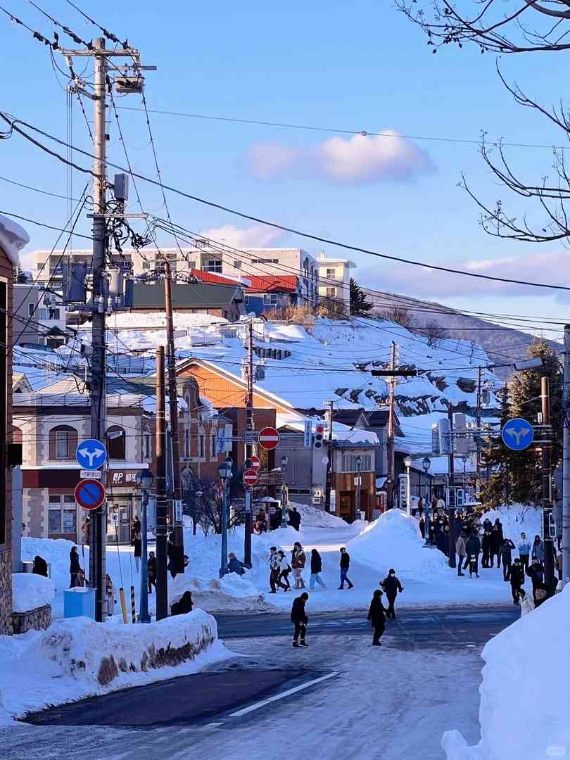 Discover Why Hokkaido Travel is More Affordable Than You Think - Budget Tips & Hidden Gems