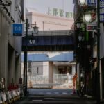 Exploring Ueno Park at Dawn: Best Morning Walks & Hidden Gems in Tokyo