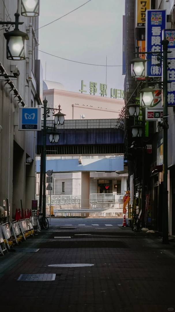Explorer le parc d’Ueno à l’aube : les meilleures promenades matinales et les joyaux cachés de Tokyo