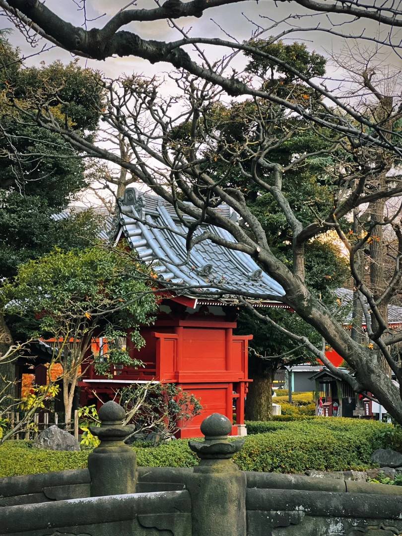 Japan Travel Guide 2023: Honest Tips & Must-Know Advice for First-Time Visitors
