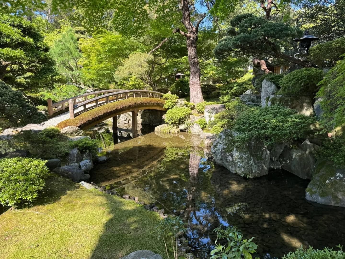 Japan Travel Guide: Best Itinerary & Hidden Gems for Your Dream Trip