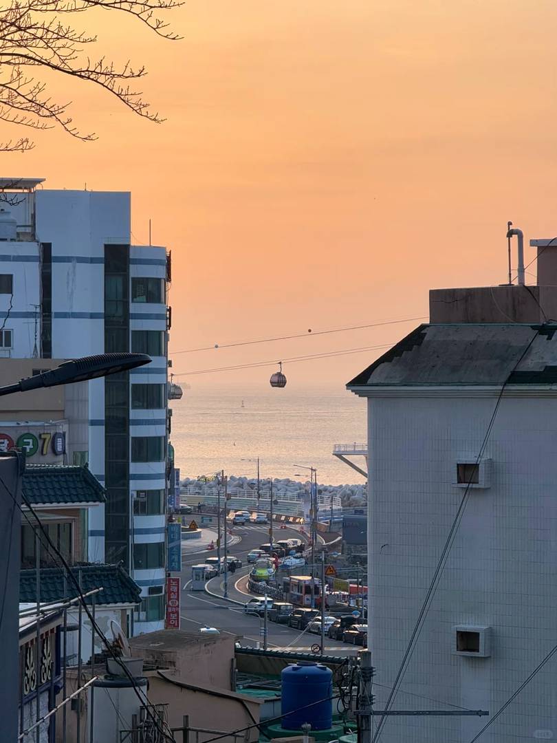 Must-See Live Photo Spots in Busan: A Traveler's Ultimate Guide