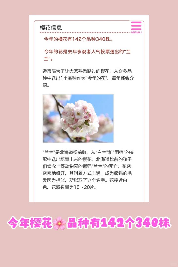 Osaka Mint Bureau Cherry Blossoms: Ultimate Viewing Guide & Reservation Tips for Best Blooms