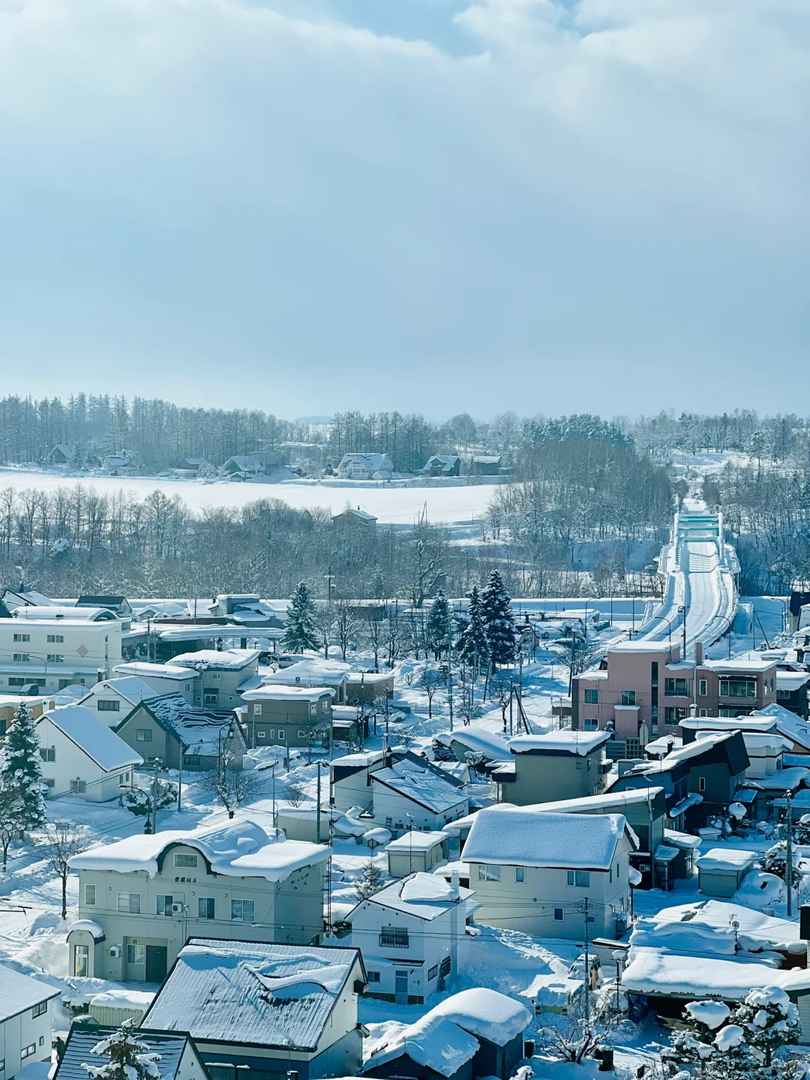 Relive Your First Trip to Hokkaido: Magical Winter Memories & Travel Tips