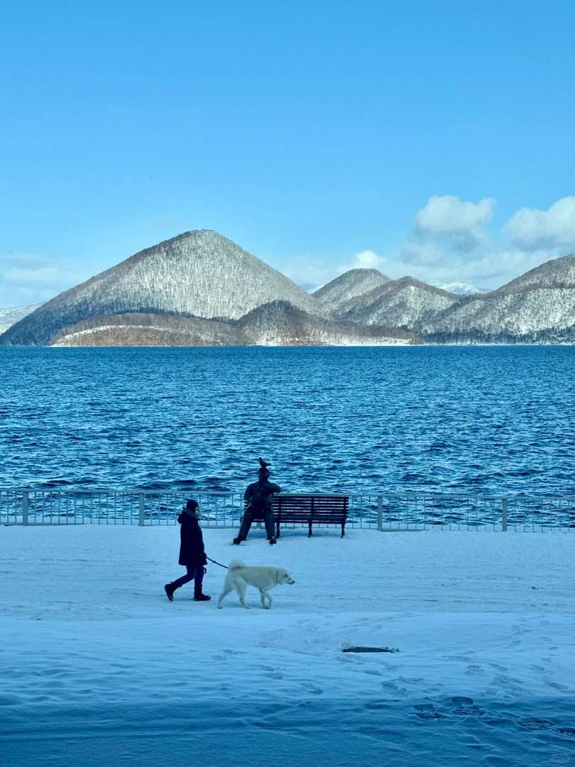 Stunning Hokkaido Live Shots: Best Photography Spots & Travel Tips