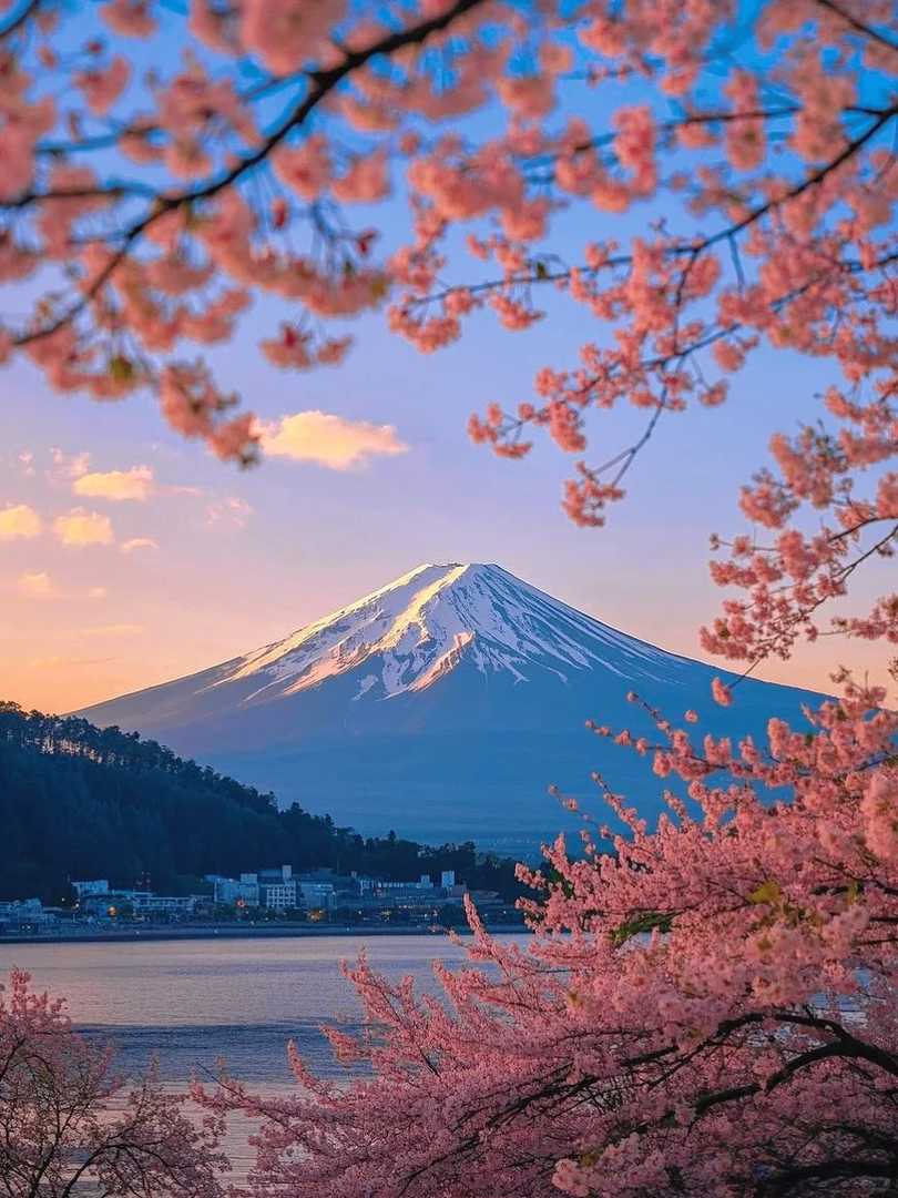Stunning Pink Spring Day: Best Spots to See Cherry Blossoms in Full Bloom 🌸