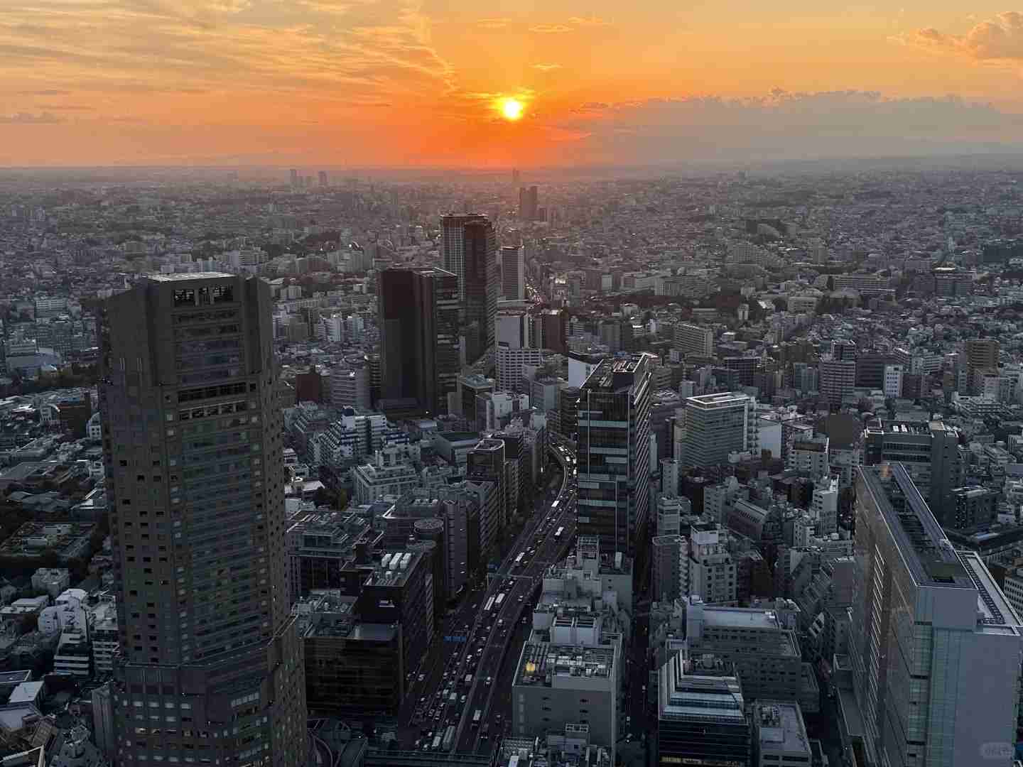 Tokyo Travel Guide: Top Attractions & Hidden Gems in Asia's #1 City 🗼