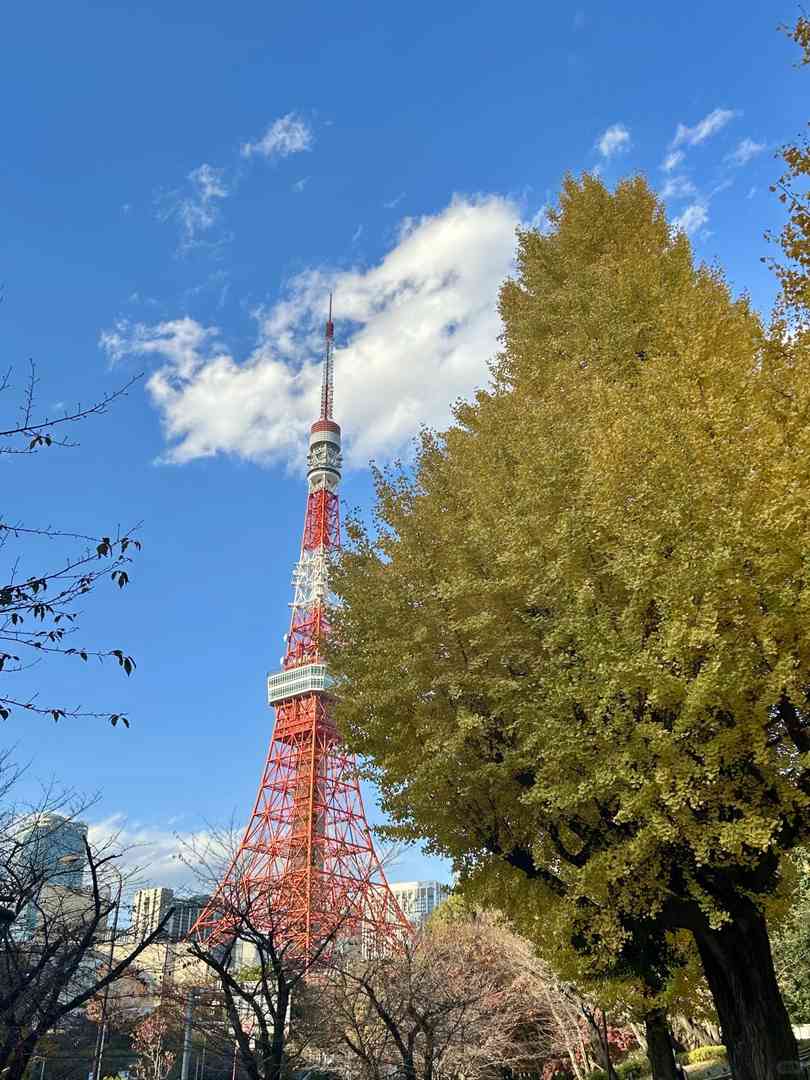 Tokyo Travel Guide: Top Attractions & Hidden Gems in Asia's #1 City 🗼