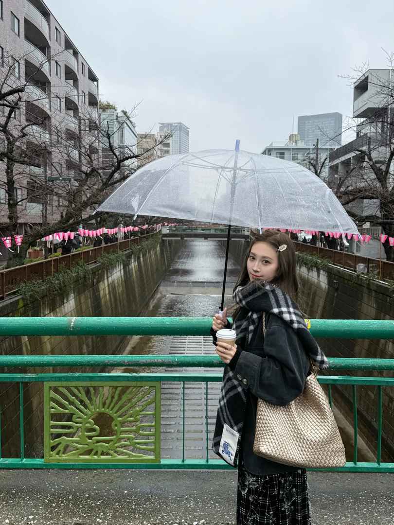 Tokyo Travel Itinerary Perfection: My Ultimate Japan Trip Plan That Keeps Me Excited