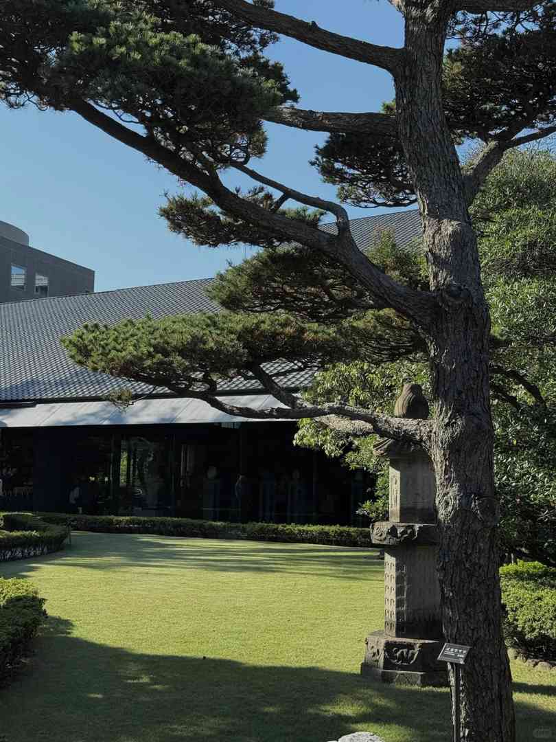 Top 3 Must-Do Experiences in Tokyo: Iconic Sights, Coffee & Nightlife Guide 🗼☕️🍸