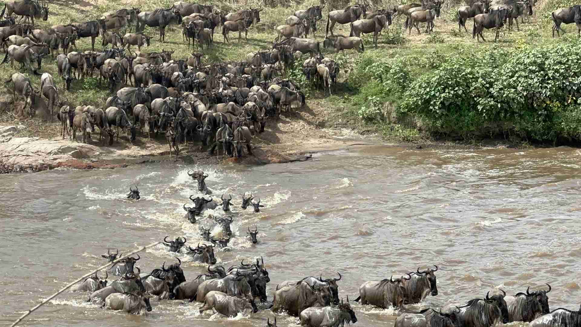 - 4 Epic River Crossings in One Day: Must-See Adventure & Travel Tips