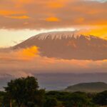 Amboseli National Park Safari Guide: Best Elephant & Giraffe Viewing Tips in Kenya