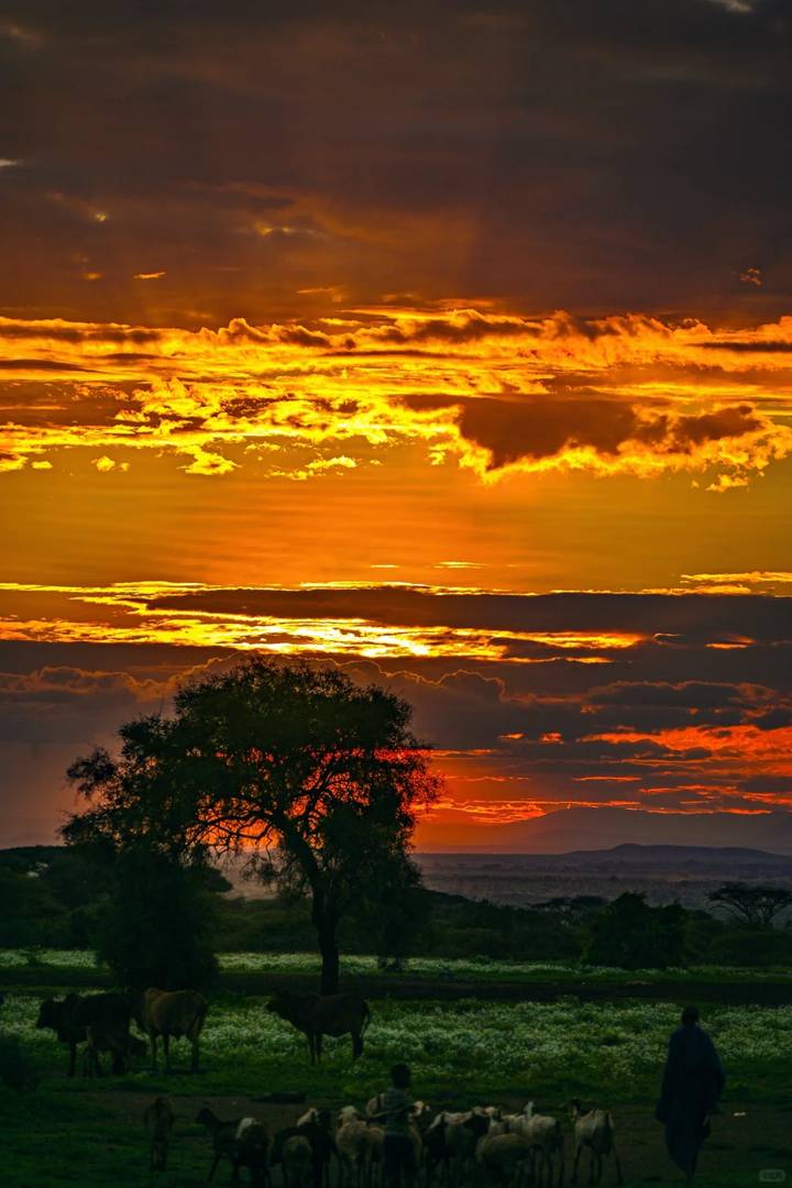 Amboseli National Park Safari Guide: Best Elephant & Giraffe Viewing Tips in Kenya