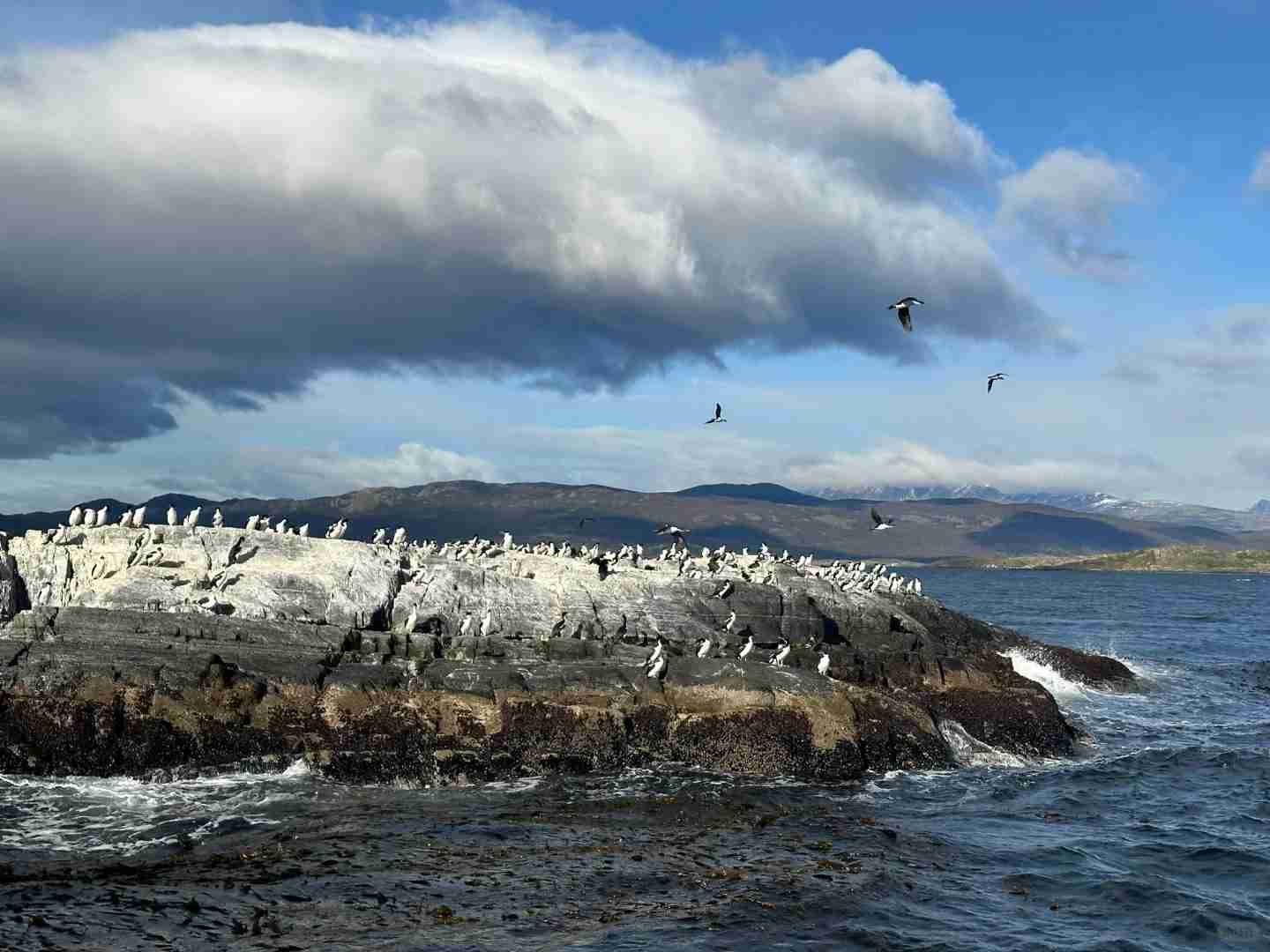 Argentina 🇦🇷 Ushuaia Travel Guide: Best Local Eats & Cultural Experiences