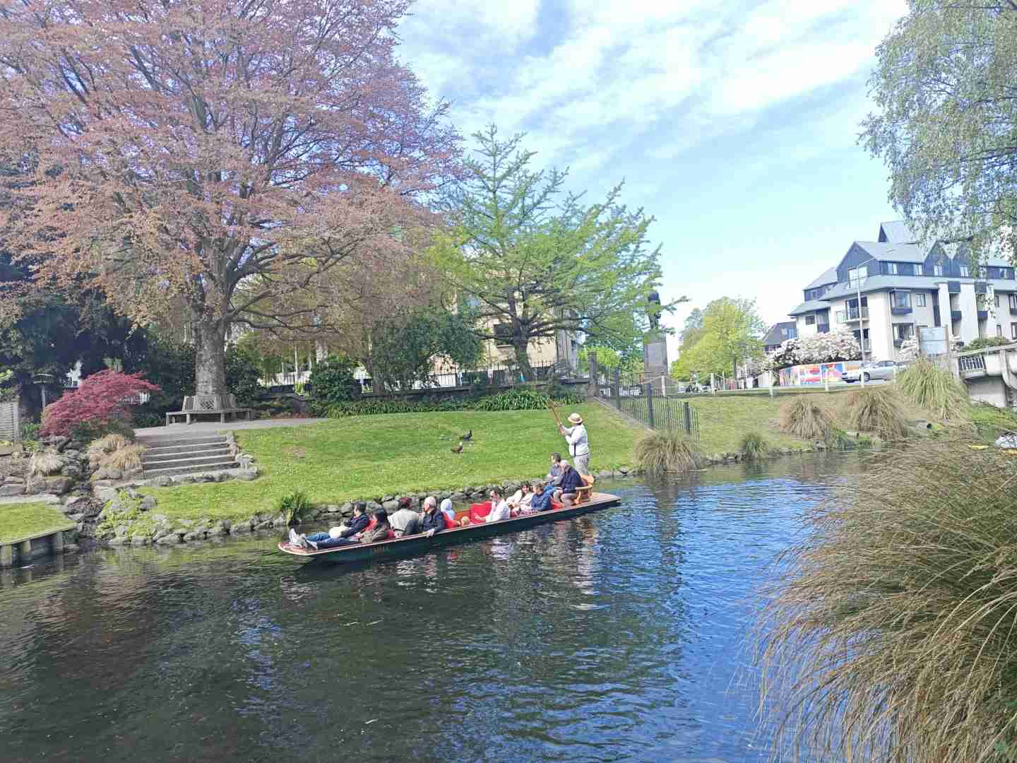 Groupe de Compagnons de Voyage d'Auckland : Explorez la Nouvelle-Zélande avec des guides touristiques locaux et de nouveaux amis