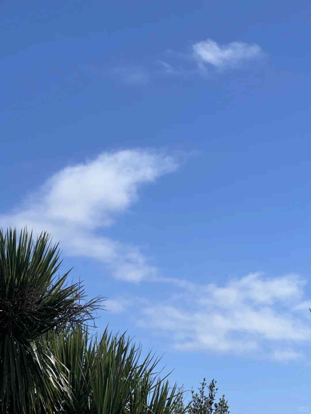 Wettervorhersage für Auckland am 14. April 2025: Was zu erwarten ist ☀️