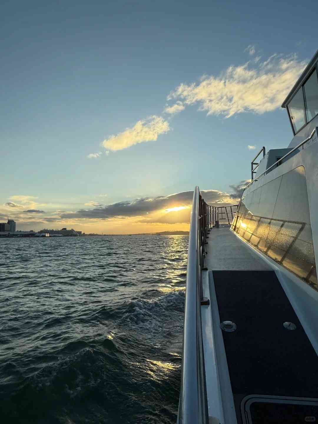 Auckland Whale Watching Tours: Best Spots for 🐳 Sightings