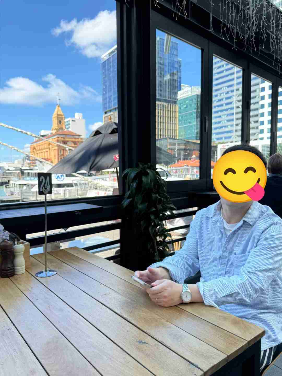 Auckland Whale Watching Tours: Best Spots for 🐳 Sightings