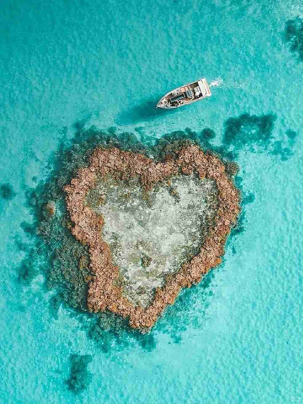 Avoiding Pitfalls: Ultimate Cairns Travel Guide for First-Time Visitors ✨