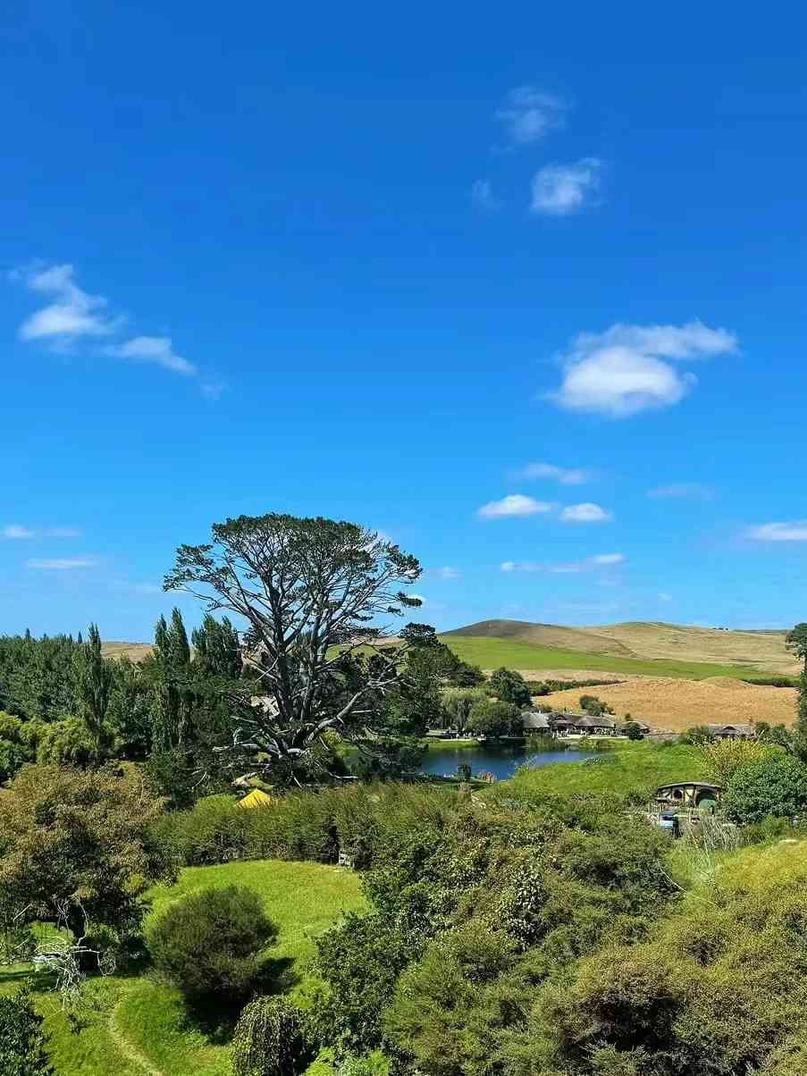 Back from New Zealand: Must-See Destinations and Unforgettable Experiences