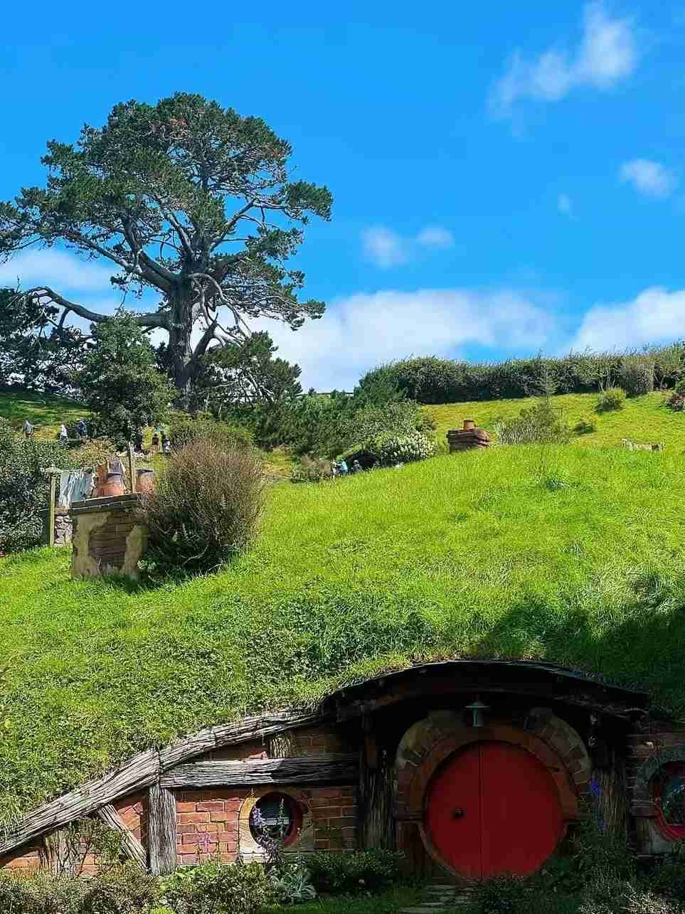 Back from New Zealand: Must-See Destinations and Unforgettable Experiences