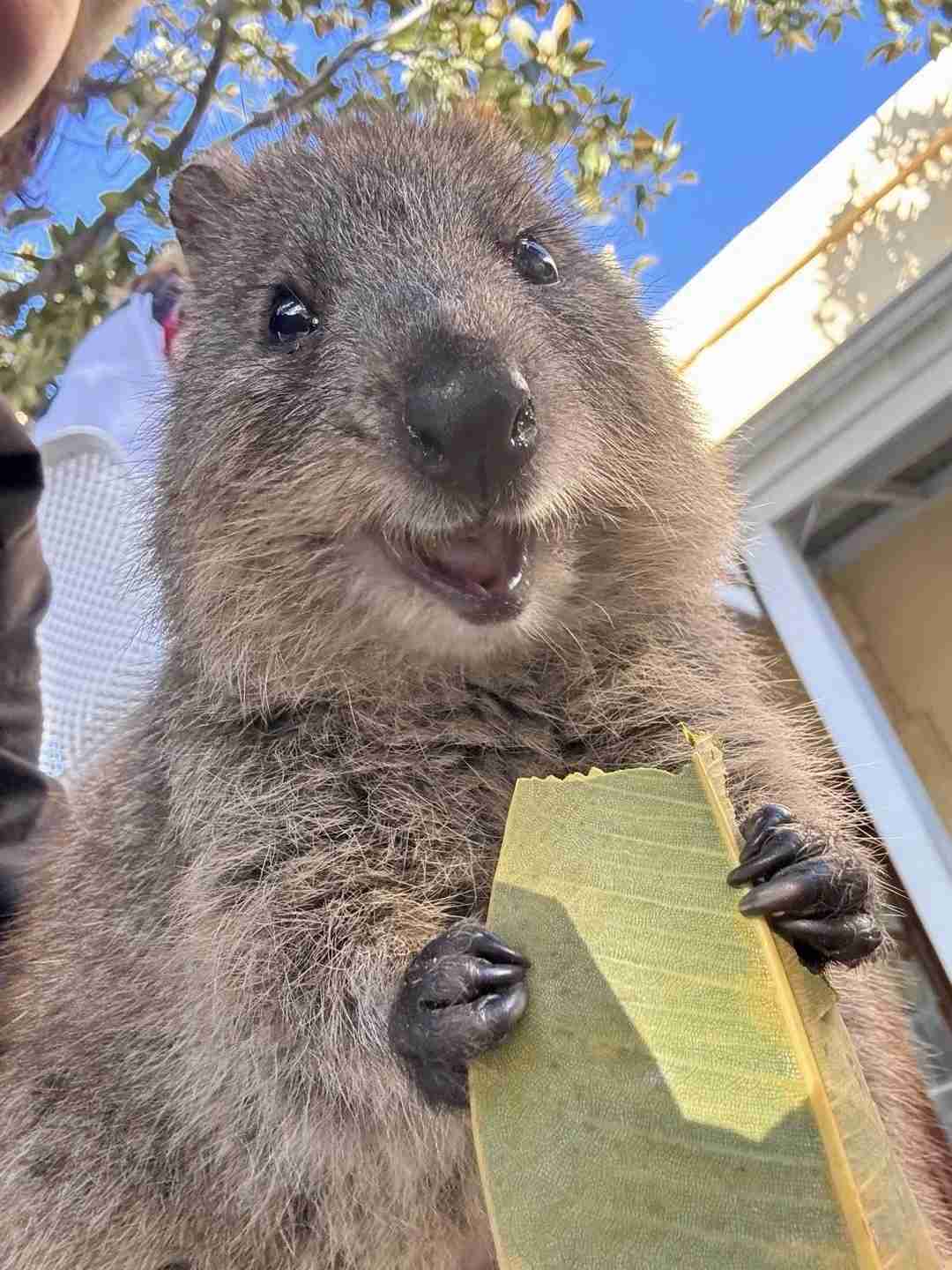 Back in Western Australia: Exploring the Best of 4.8 Rated Local Attractions