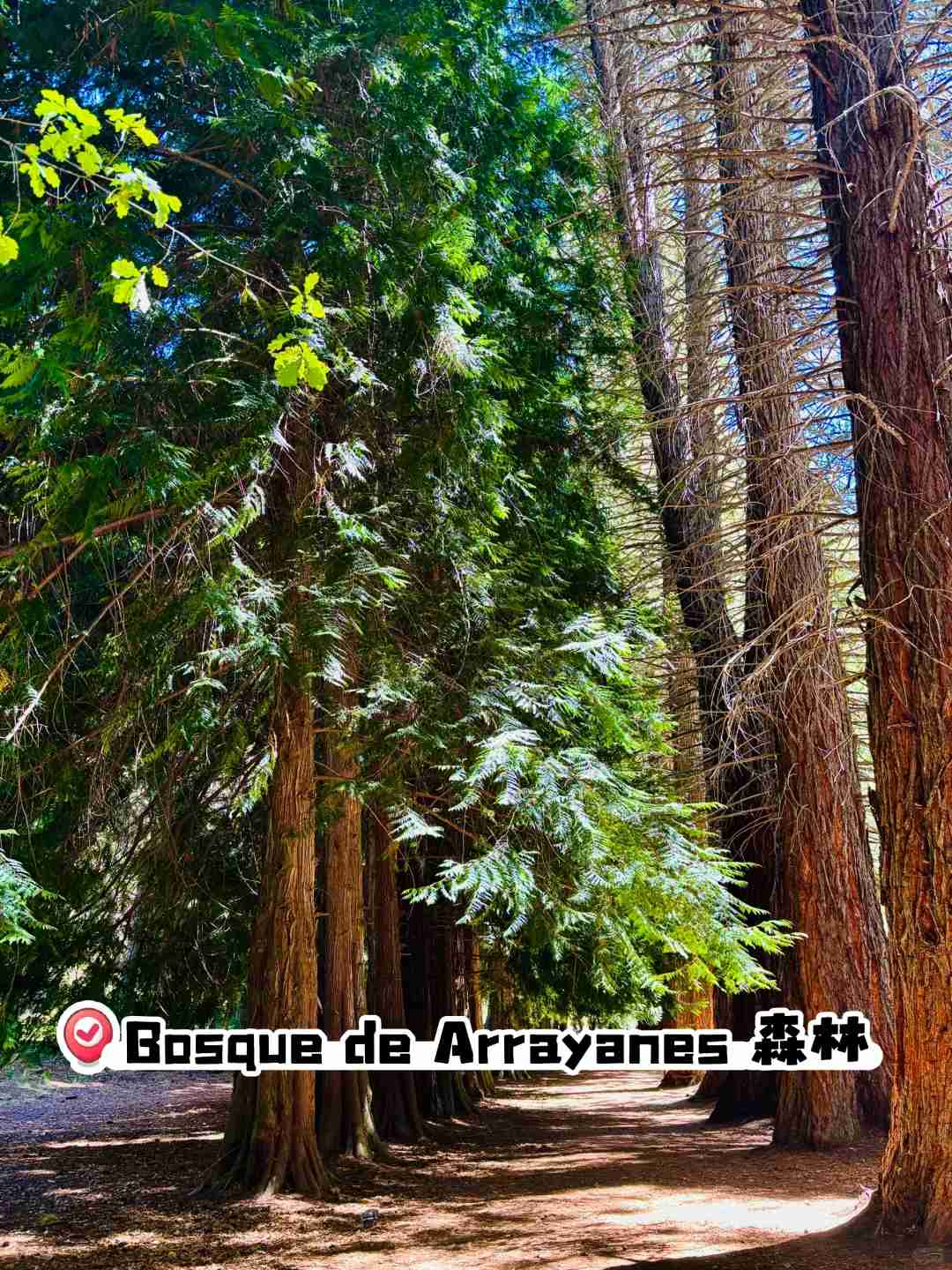 Bariloche Summer Babysitting Level 2: Expert Tips & Safety Guide