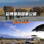 Best Accommodation Recommendations for Safari Lovers in Amboseli National Park, Kenya