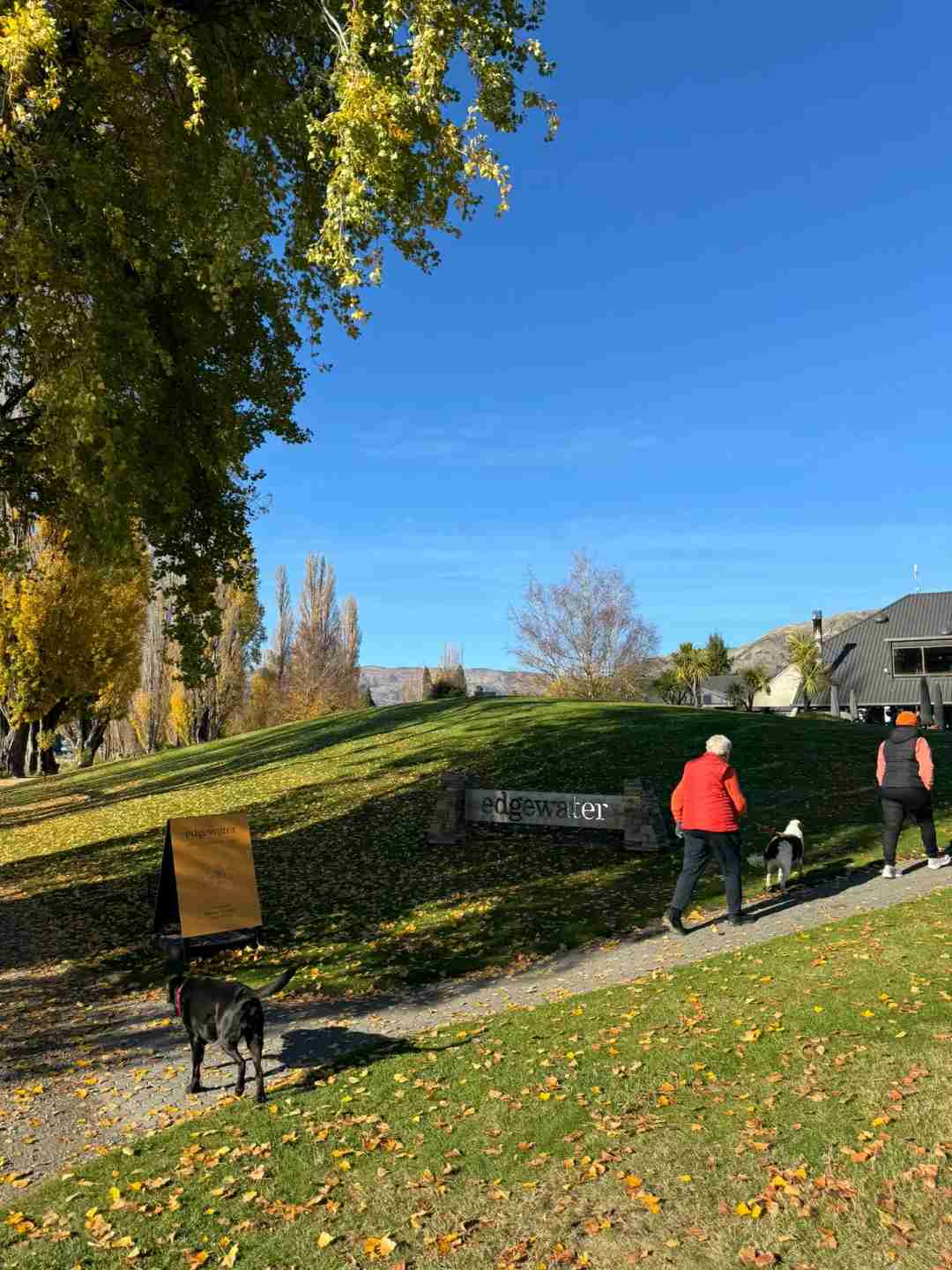 Best Accommodation Sharing Options in New Zealand's South Island 🇳🇿