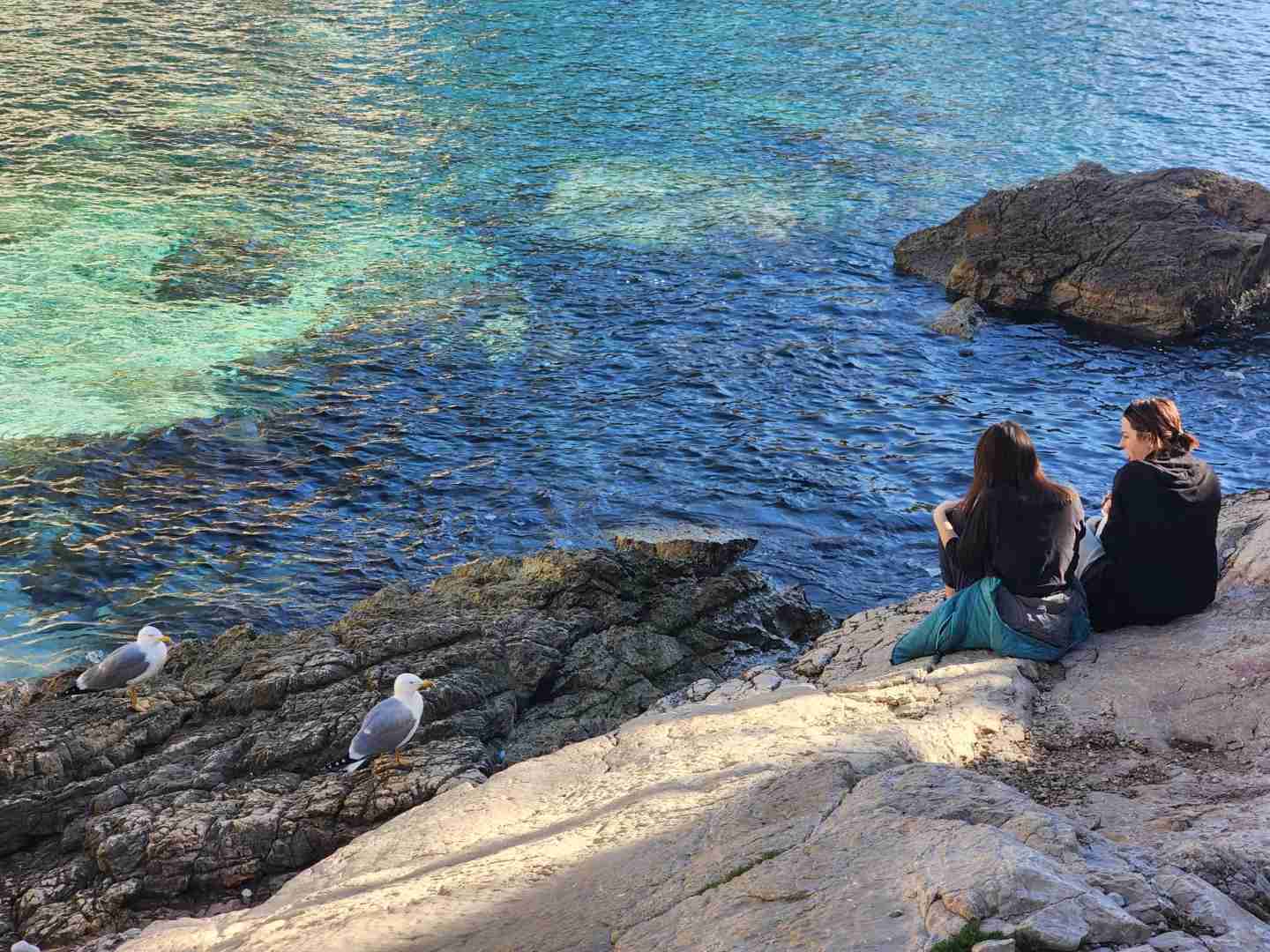Best Hiking Trails in Calanques Marseille: Unforgettable Scenic Walks & Outdoor Adventures