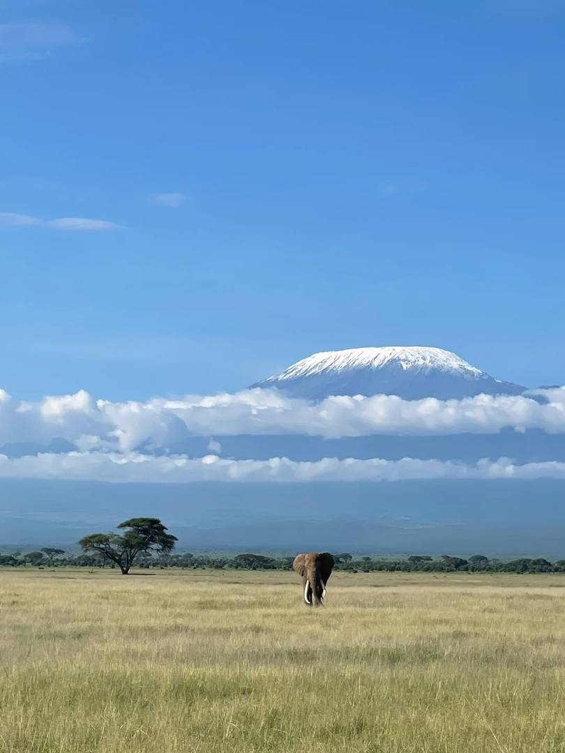 Best Kenya Safari Day 3 Itinerary: Wildlife Encounters & Masai Mara Adventures
