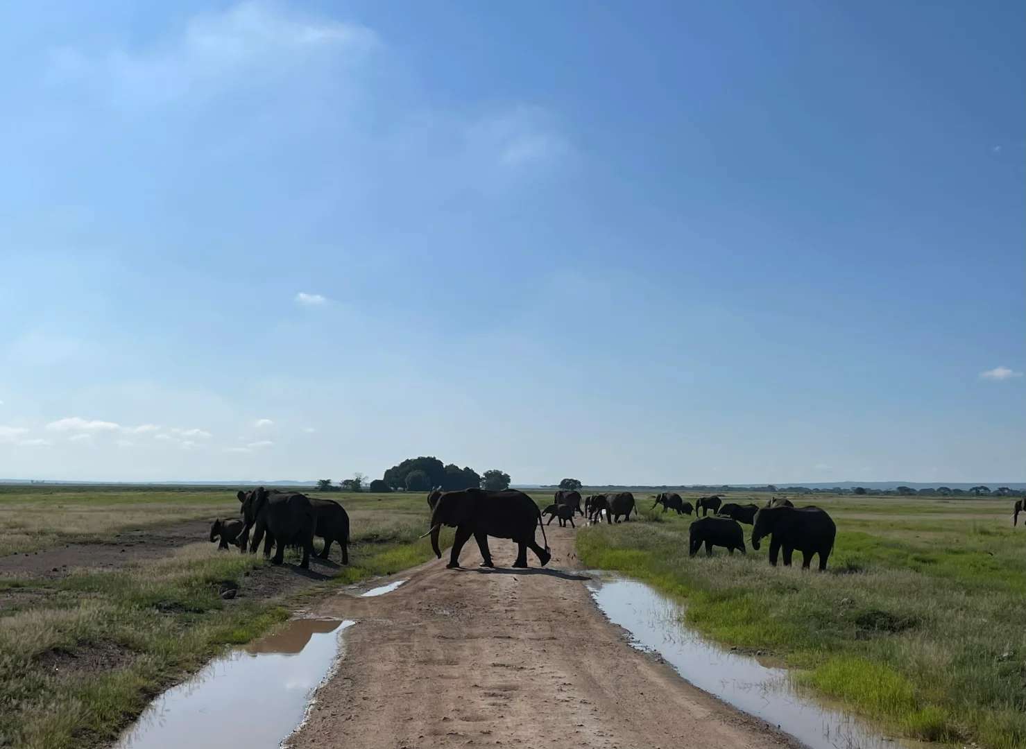 Best Kenya Safari Day 3 Itinerary: Wildlife Encounters & Masai Mara Adventures