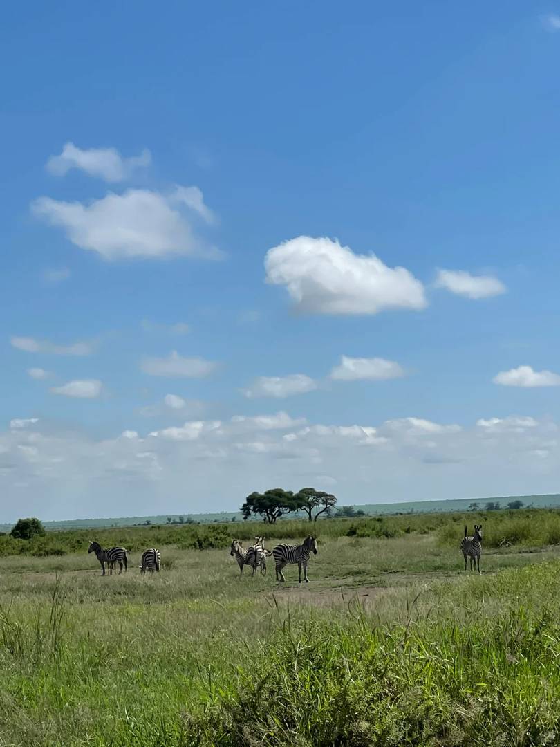 Best Kenya Safari Day 3 Itinerary: Wildlife Encounters & Masai Mara Adventures