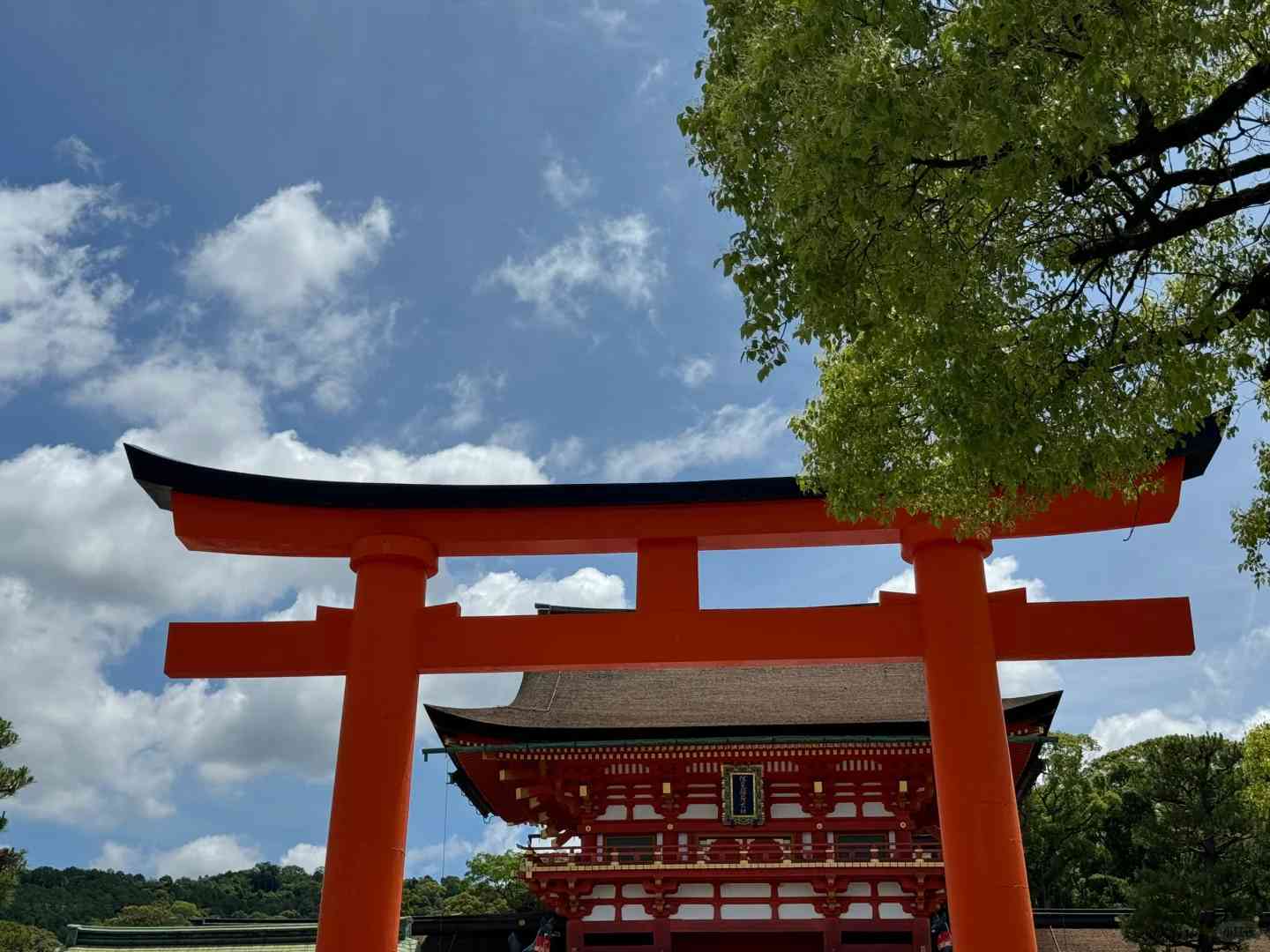 Best Osaka to Kyoto Day Trip Itinerary: Top Attractions & Travel Tips 2025