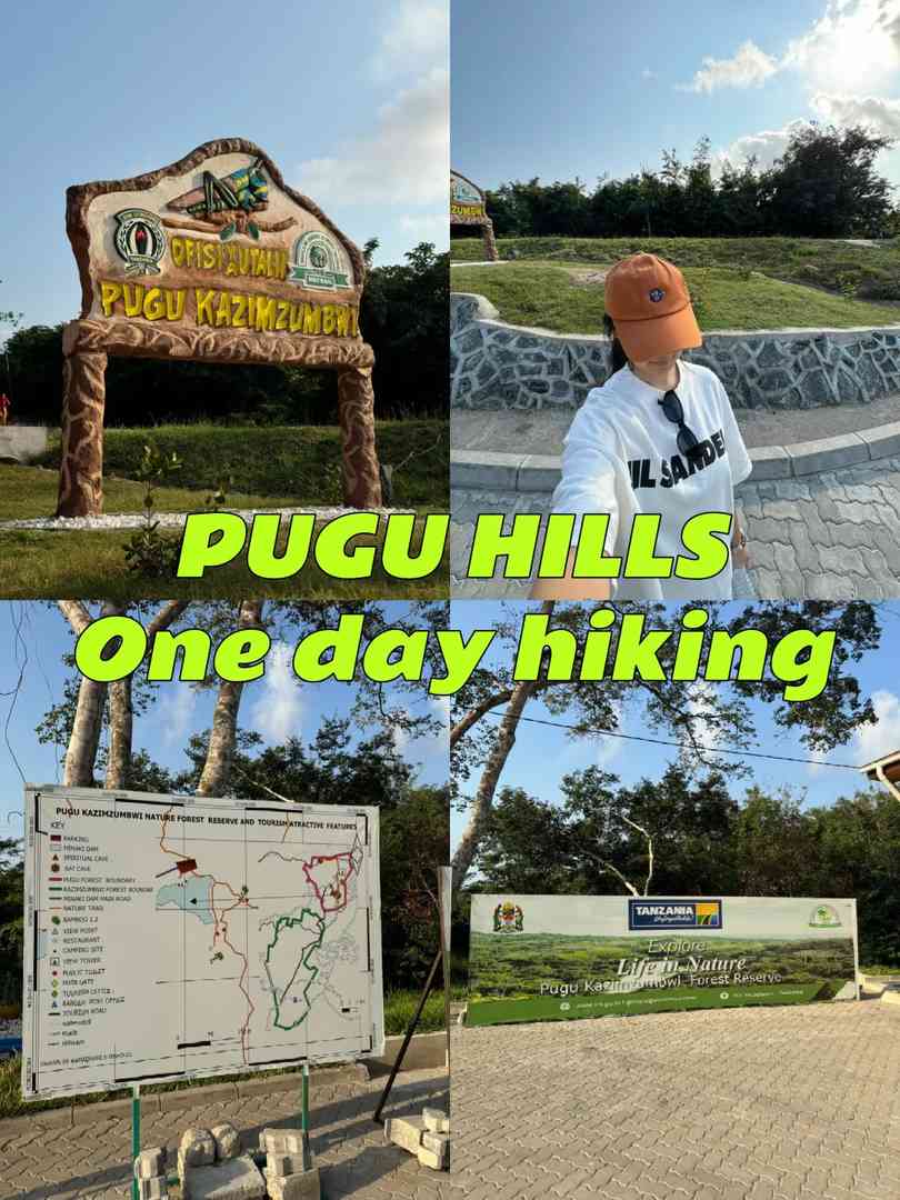 Best Tanzania Day Trip Guide: BBQ Adventure at PUGU HILLS & Travel Tips