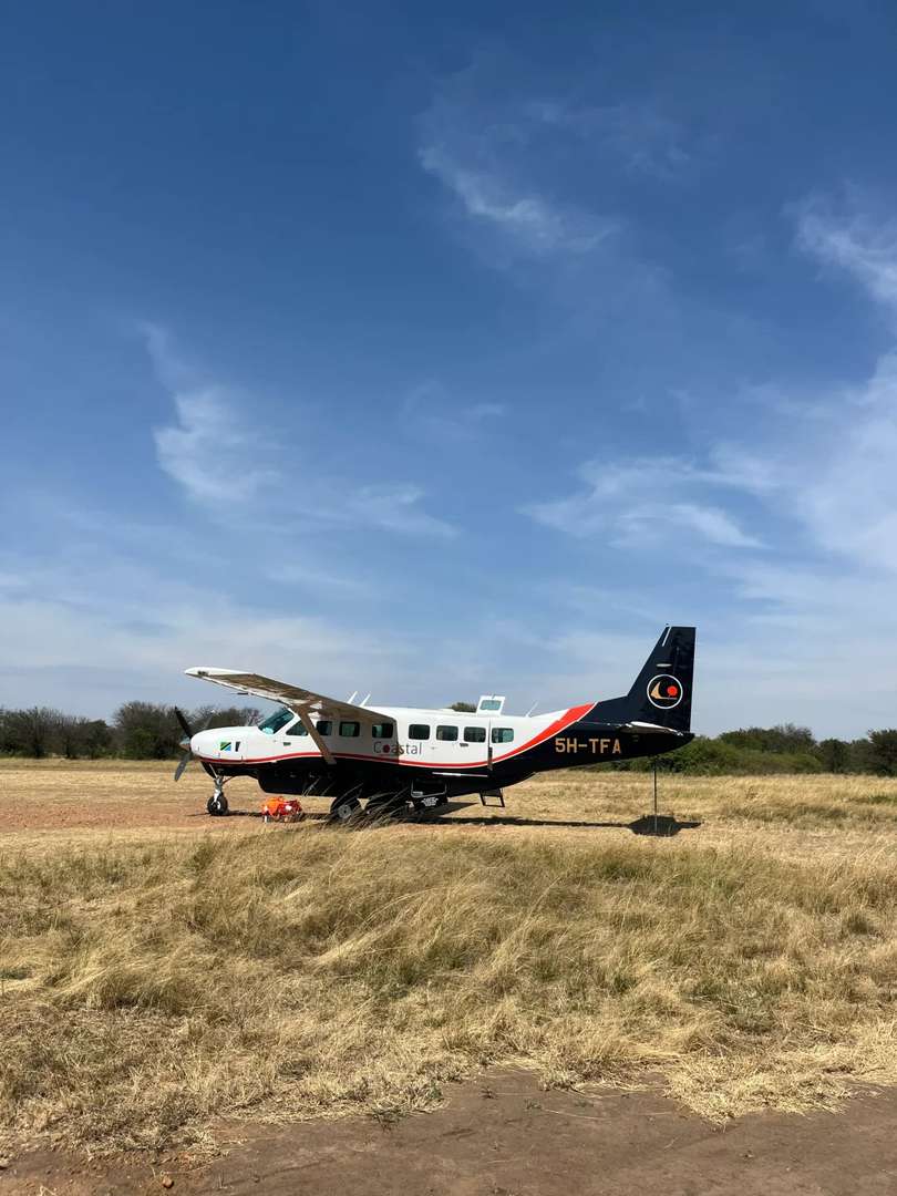 Best Tanzania Safari Experience: Small Plane Tours Over Northern Serengeti Plains