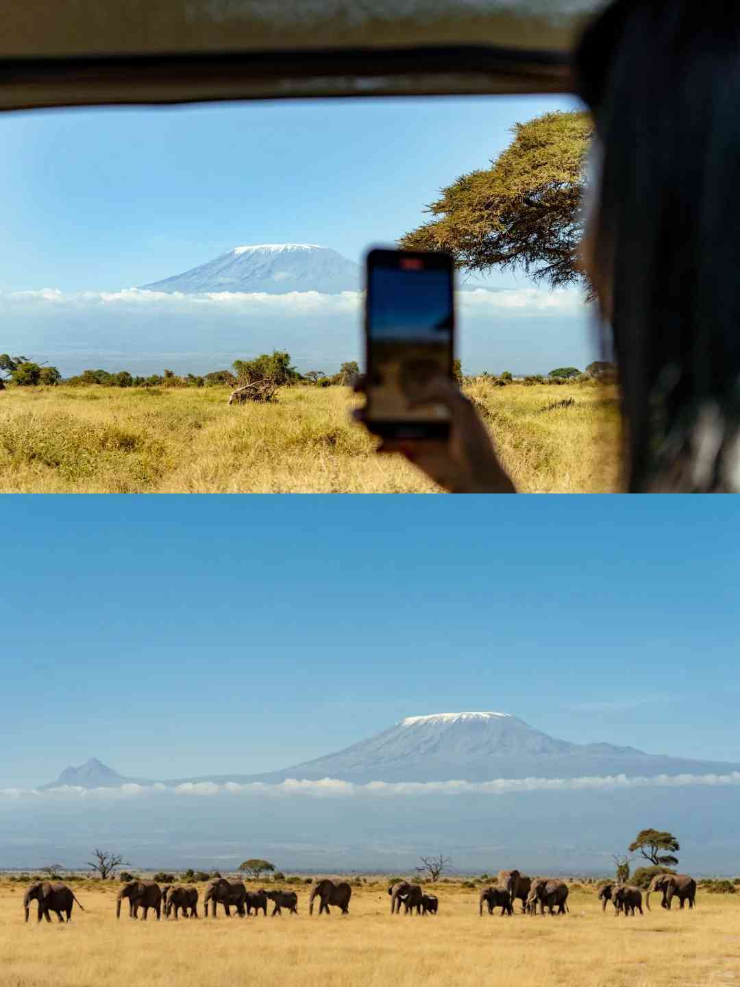 ケニアを訪れるベストシーズン：究極の旅行タイムラインと季節別ガイド