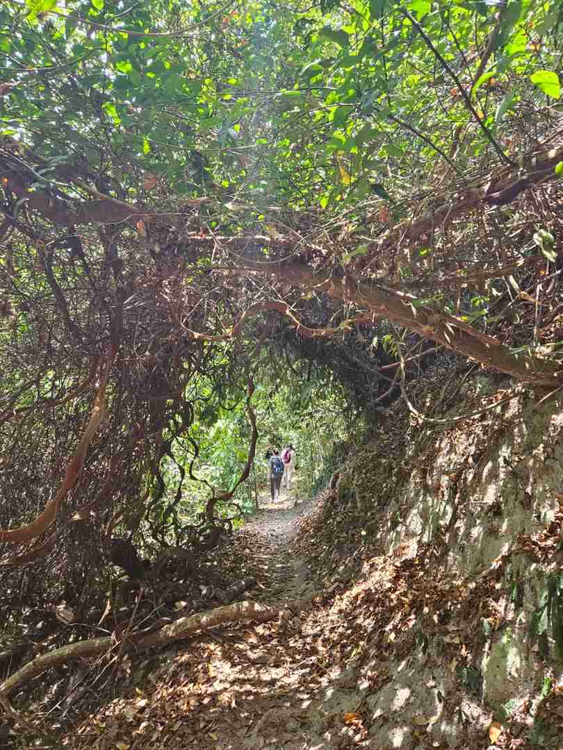 Best Weekend Hiking in Tanzania: Scenic Trails & Nature Walks at Pugu Hill ⛰️