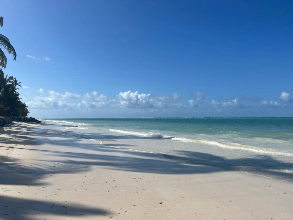 Best Zanzibar Beaches to Visit After Your Great Migration Safari in Africa