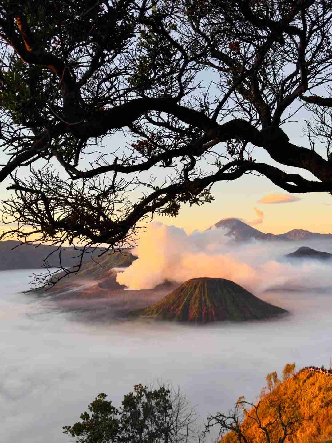Aventura no Vulcão Bromo 🌋: Capture Paisagens Deslumbrantes e Semelhantes à Lua para Fotos Inesquecíveis