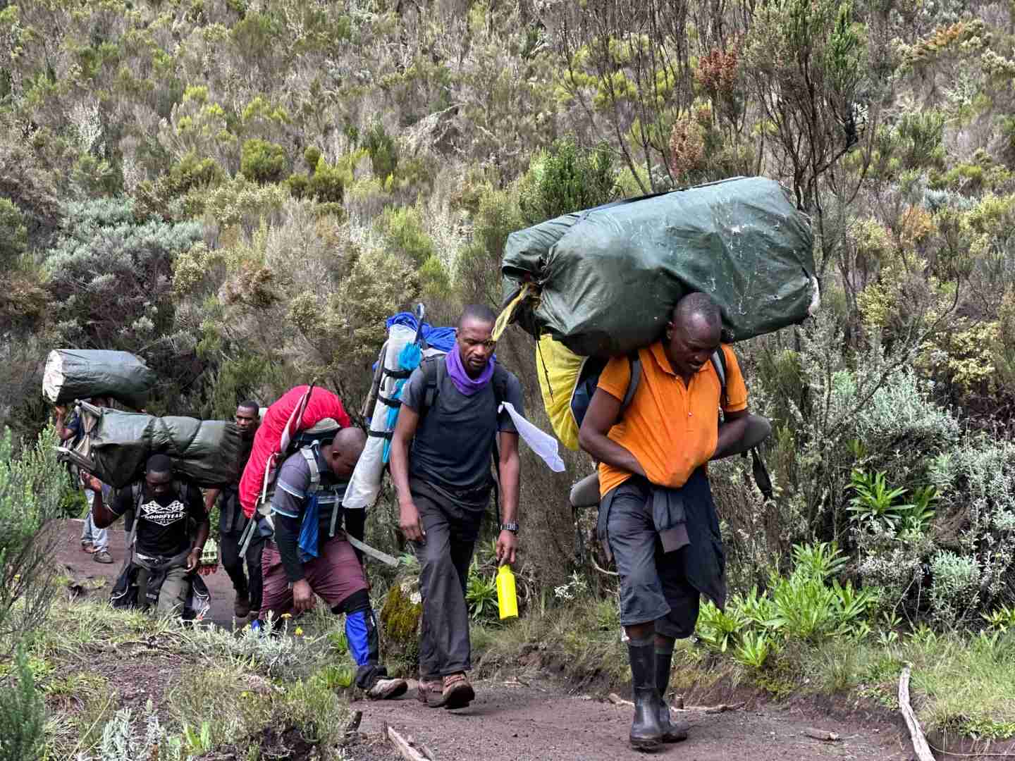 Budget Kilimanjaro Climb Guide: Conquer Africa's Highest Peak for Less